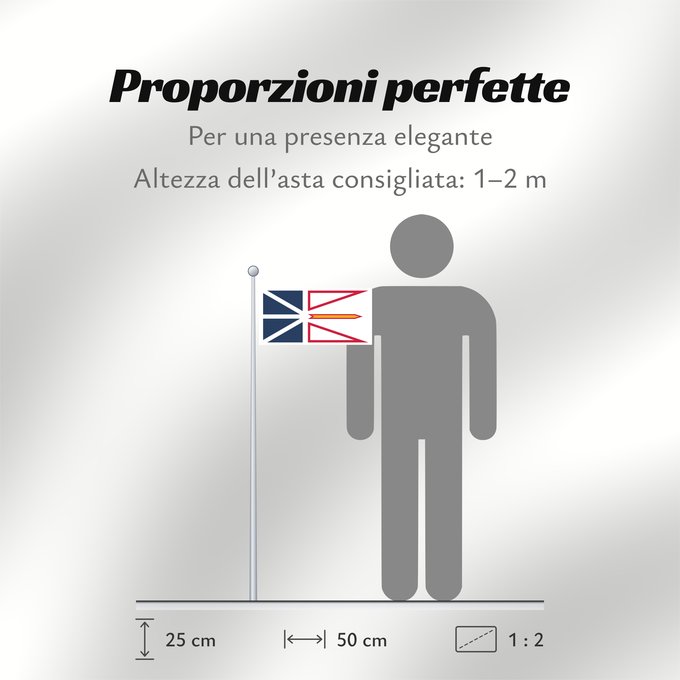 Proporzioni della bandiera: Newfoundland and Labrador Terre-Neuve-et-Labrador Terranova y Labrador Neufundland und Labrador Terranova Banniel Douar-Nevez ha Labrador