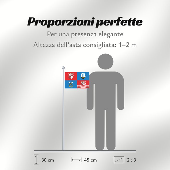 Proporzioni della bandiera: Karlovy Vary Region	Région de Karlovy Vary	Región de Karlovy Vary	Region Karlovy Vary	Regione di Karlovy Vary