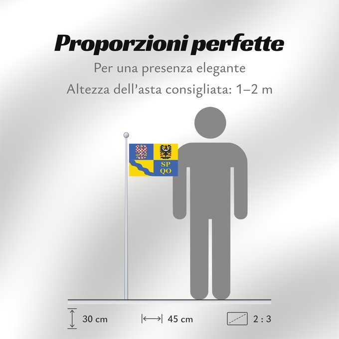 Proporzioni della bandiera: Olomouc Region	Région d'Olomouc	Región de Olomouc	Region Olomouc	Olomouckého kraje