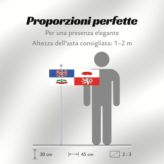Proporzioni della bandiera: Vysocina Region Vysočina Region Région de Vysočina Región de Vysočina Region Vysočina