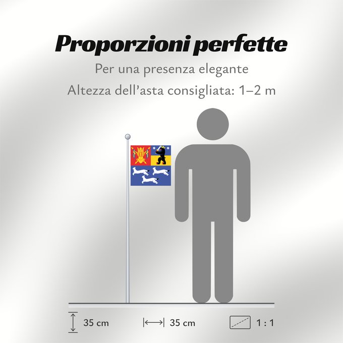 Proporzioni della bandiera: Länsi-Suomen lääni