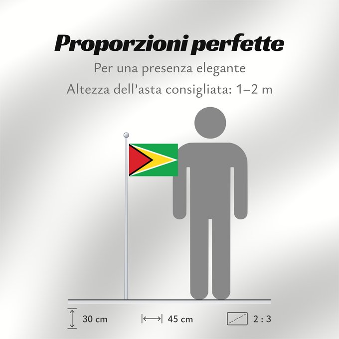 Proporzioni della bandiera: Guyana	Guiana	Wayana wiphala	Gujano	Gwayana	Wayana unancha	Флаг Гайаны	Guyanas	Quốc kỳ Guyana