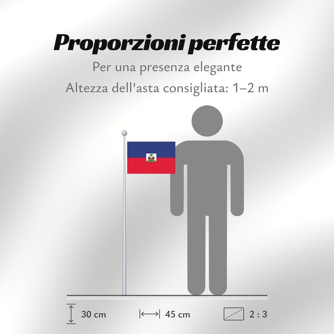 Proporzioni della bandiera: Haiti  civil	Haiti	Haïti	Haití