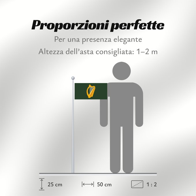 Proporzioni della bandiera: Leinster	W Leinster