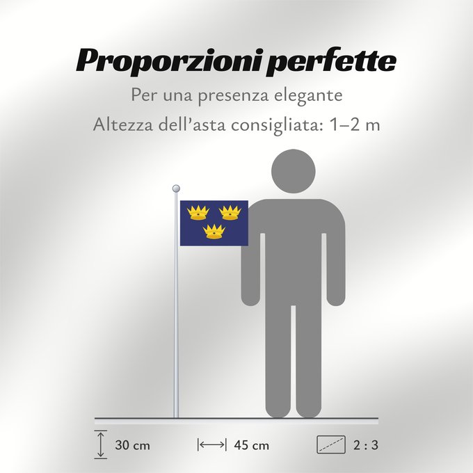 Proporzioni della bandiera: Munster