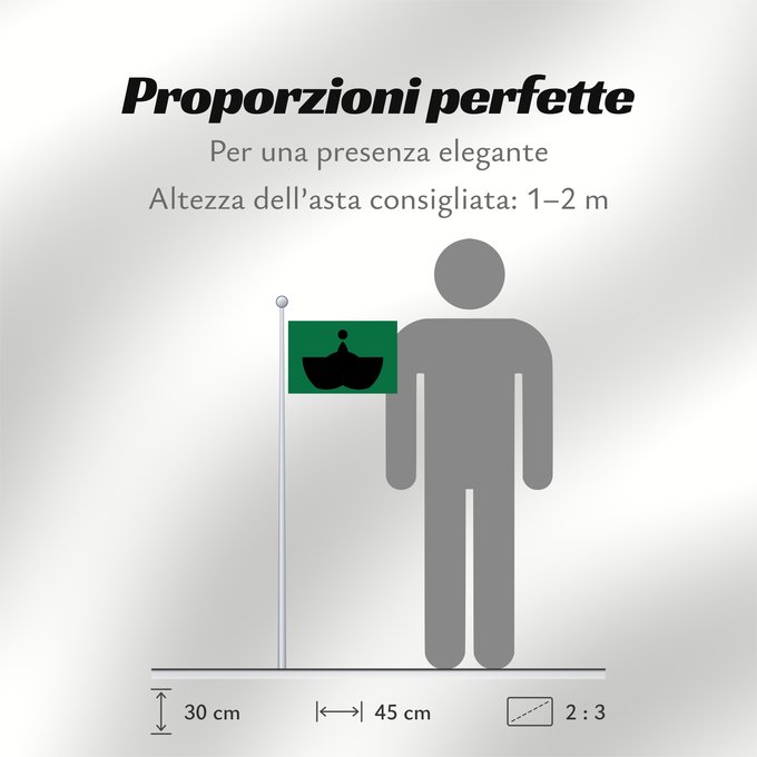 Proporzioni della bandiera:  Tiba [Chiba]