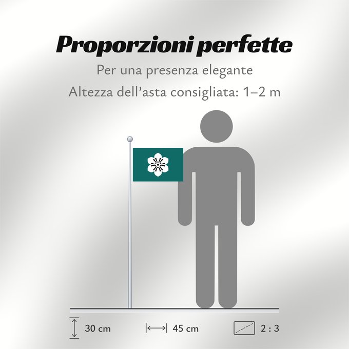 Proporzioni della bandiera: Saga Prefecture	Saga Prefecture, Japan	saga	 saga	Präfektur Saga