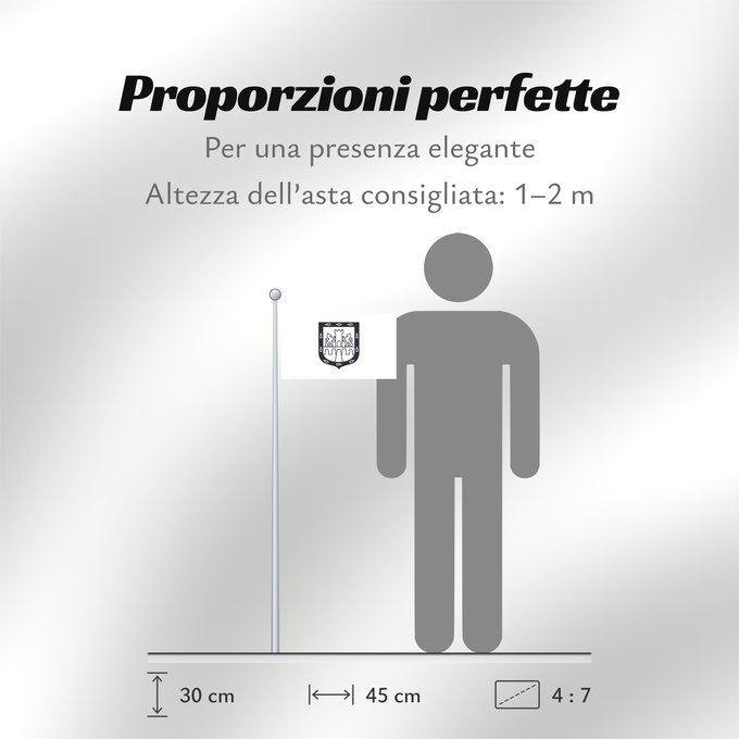 Proporzioni della bandiera: Mexico City, Mexico	Mexico City (District)	Ciudad de México	Ciudad de México, México	Mexiko-Stadt	Città del Messico