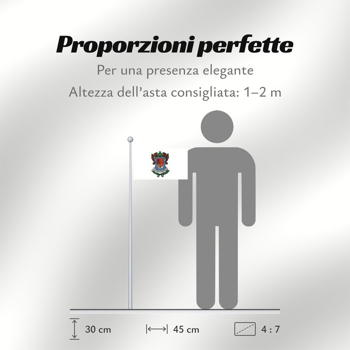 Proporzioni della bandiera: Michoacan Michoacán