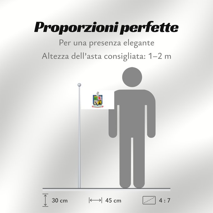 Proporzioni della bandiera: Nuevo Leon Nuevo León