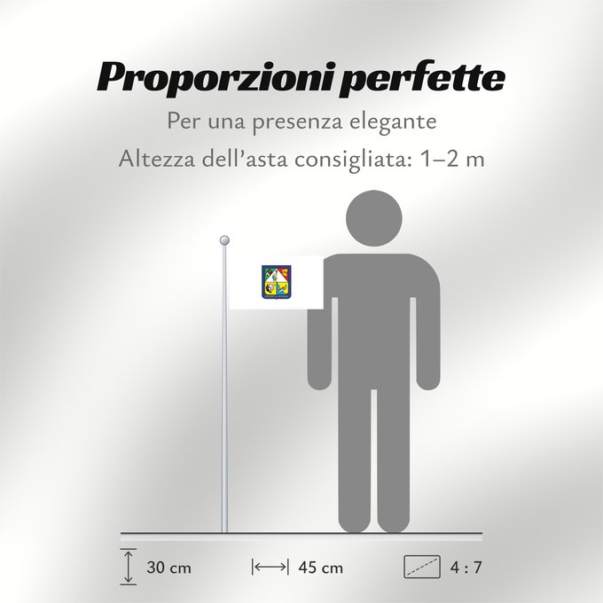 Proporzioni della bandiera: Sonora