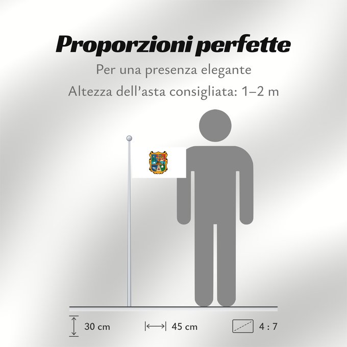 Proporzioni della bandiera: Tamaulipas