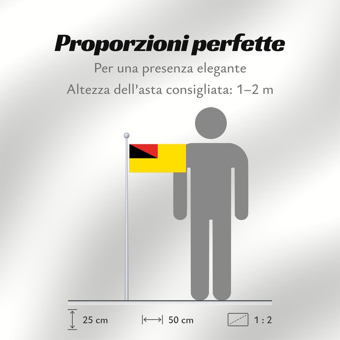 Proporzioni della bandiera: Negeri Sembilan	Negeri Sembilan, a state of Malaysia