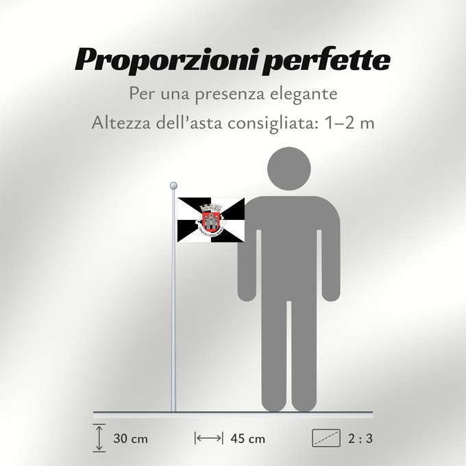 Proporzioni della bandiera: Castelo Branco