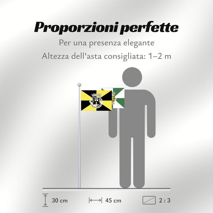 Proporzioni della bandiera: Portalegre