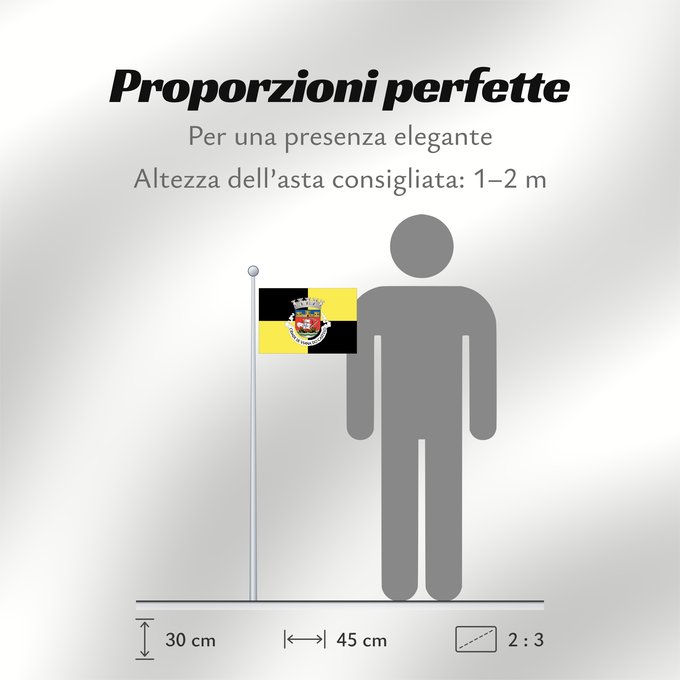 Proporzioni della bandiera: Viana do Castelo