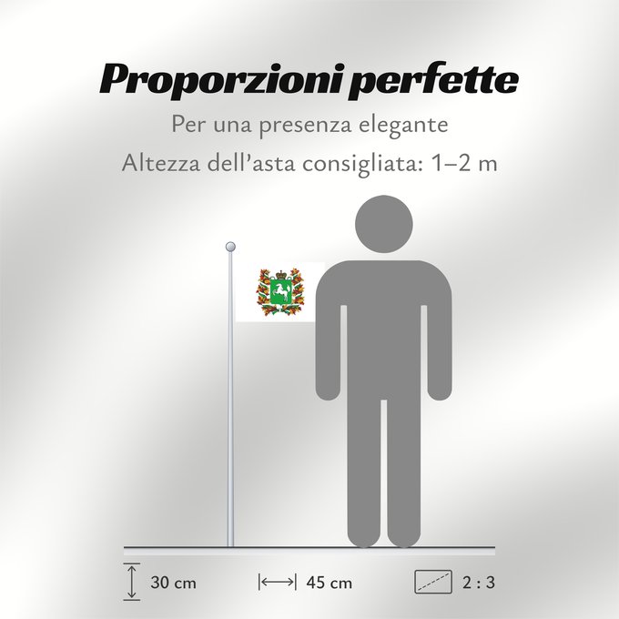 Proporzioni della bandiera: Tomskaya oblast'