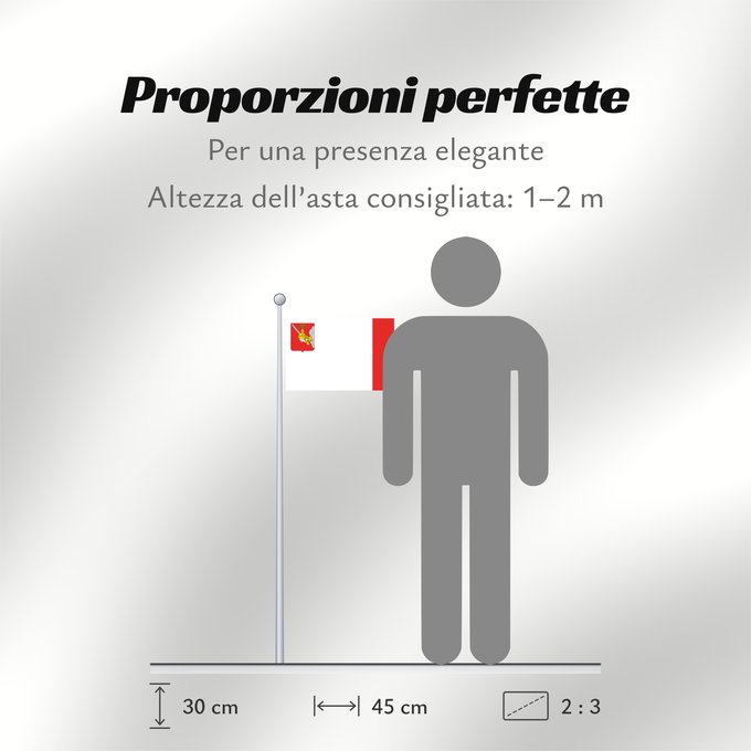 Proporzioni della bandiera: Vologda Oblast	Vologda Oblast 	Oblast de Vologda	Óblast de Vólogda	Oblast Wologda