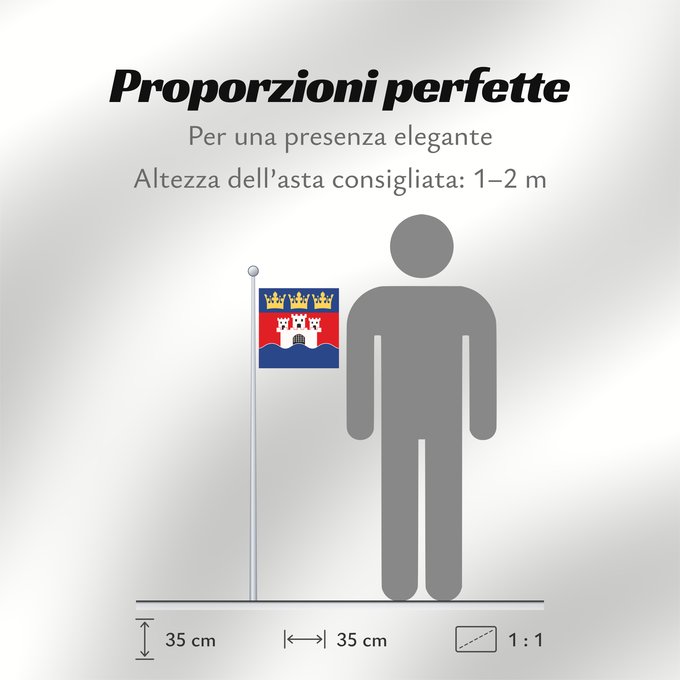 Proporzioni della bandiera: Jönköpings län vapenflagga	Jönköping County in Sweden	Jönköping	Jönköpings läns vapenflagga