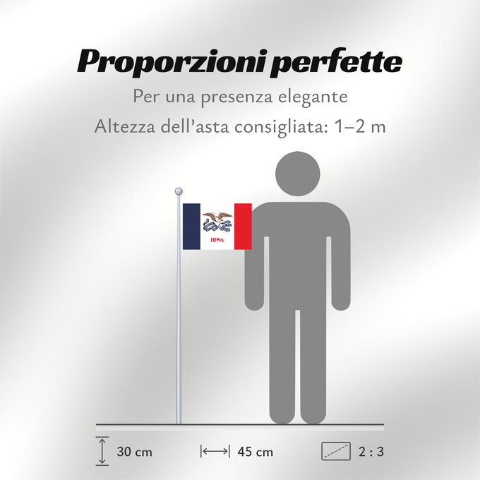 Proporzioni della bandiera: Iowa