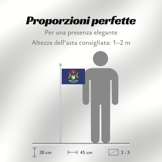 Proporzioni della bandiera: Michigan