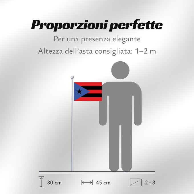 Proporzioni della bandiera: Puerto Rico
