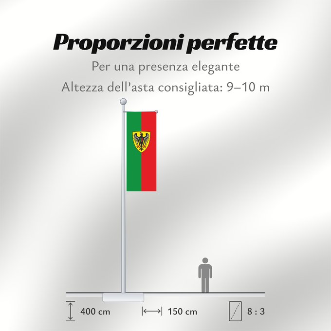 Proporzioni della bandiera: Esslingen am Neckar (Region Stuttgart)