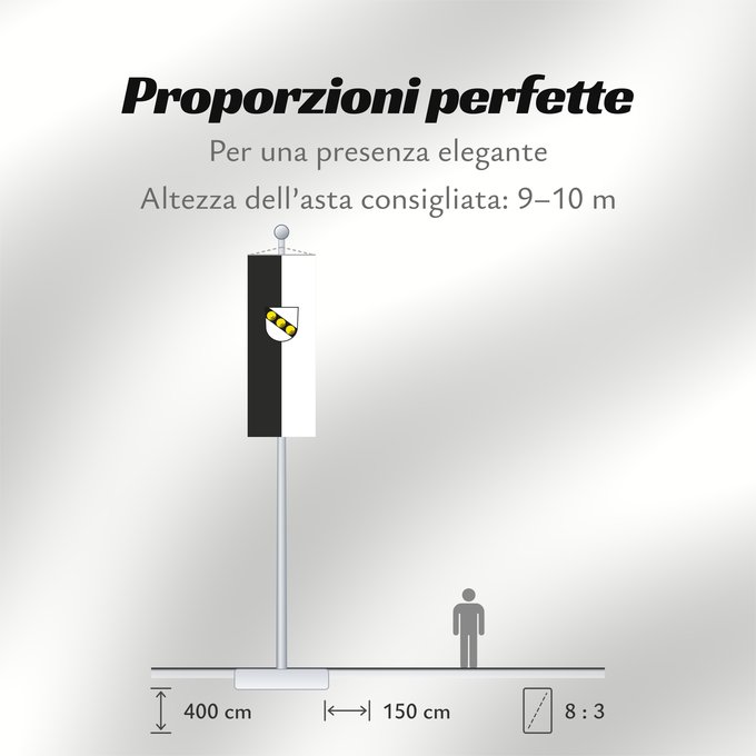 Proporzioni della bandiera: Wernau (Neckar) (Region Stuttgart)