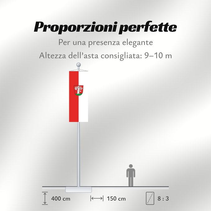Proporzioni della bandiera: Walldorf (Nördliches Baden-Württemberg)
