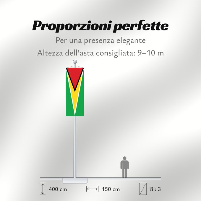 Proporzioni della bandiera: Guyana Guiana Wayana wiphala Gujano Gwayana Wayana unancha Флаг Гайаны Guyanas Quốc kỳ Guyana