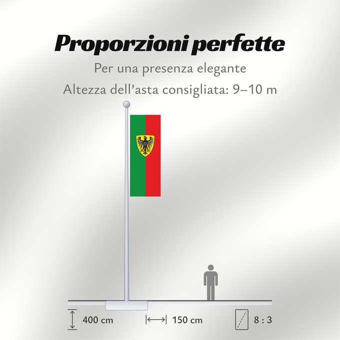Proporzioni della bandiera: Esslingen am Neckar (Region Stuttgart)