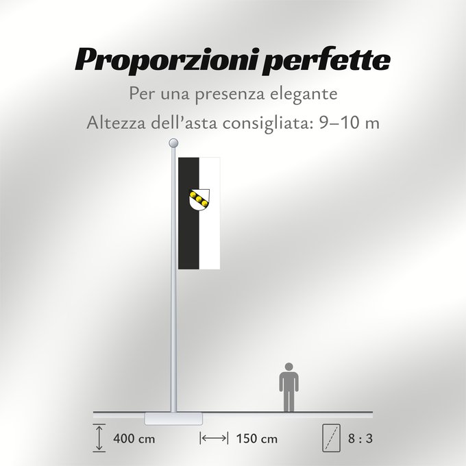 Proporzioni della bandiera: Wernau (Neckar) (Region Stuttgart)