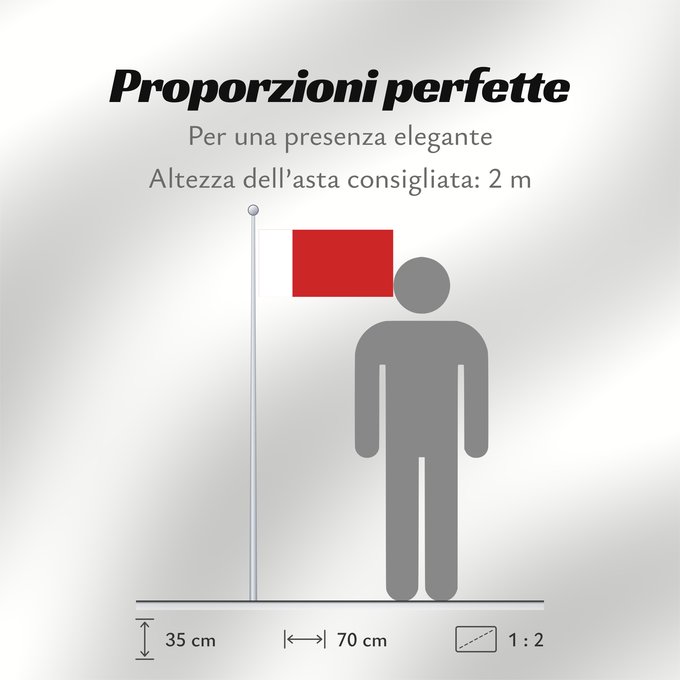 Proporzioni della bandiera: Dubai Dubaï