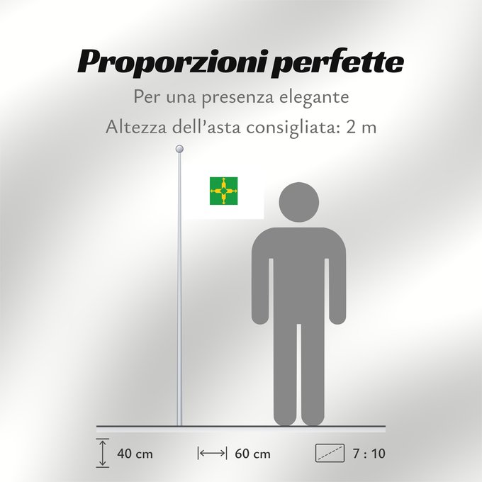 Proporzioni della bandiera: Distrito Federal