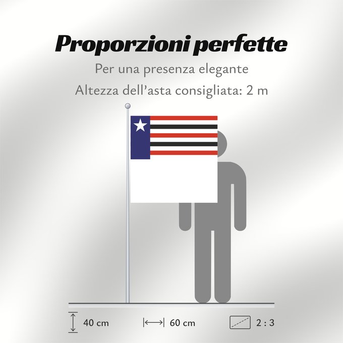 Proporzioni della bandiera: Maranhão