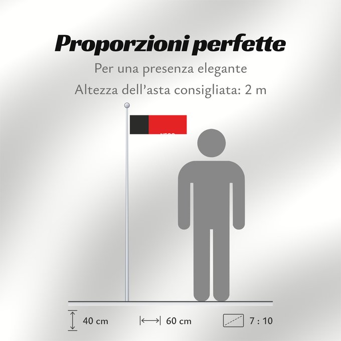 Proporzioni della bandiera: Paraíba