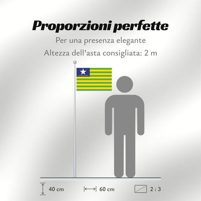 Proporzioni della bandiera: Piauí