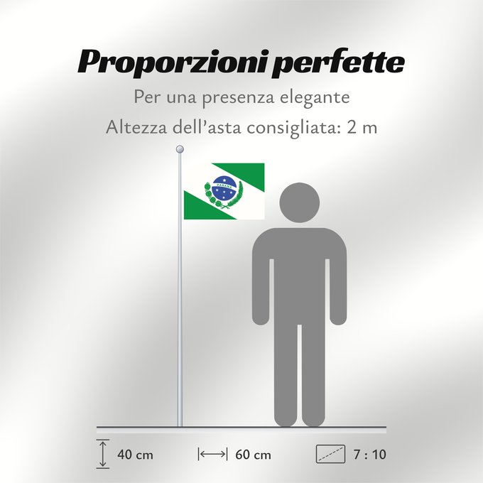 Proporzioni della bandiera: Paraná