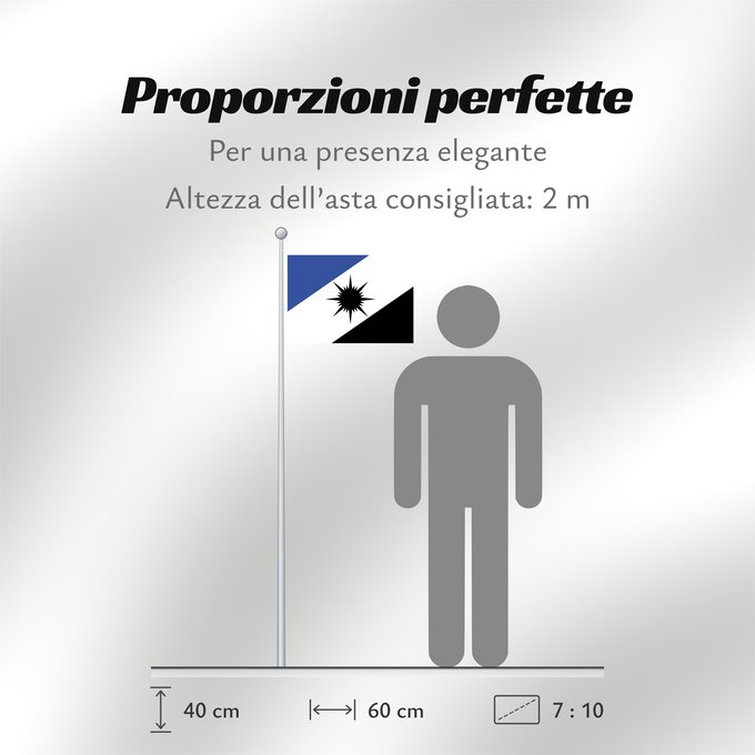 Proporzioni della bandiera: Tocantins State of Tocantins, Brazil Estado do Tocantins, Brasil