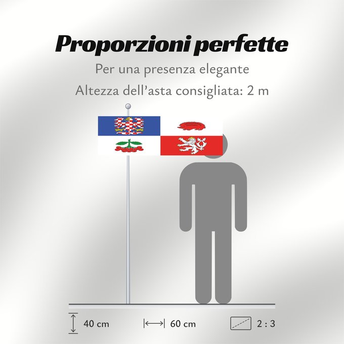 Proporzioni della bandiera: Vysocina Region Vysočina Region Région de Vysočina Región de Vysočina Region Vysočina