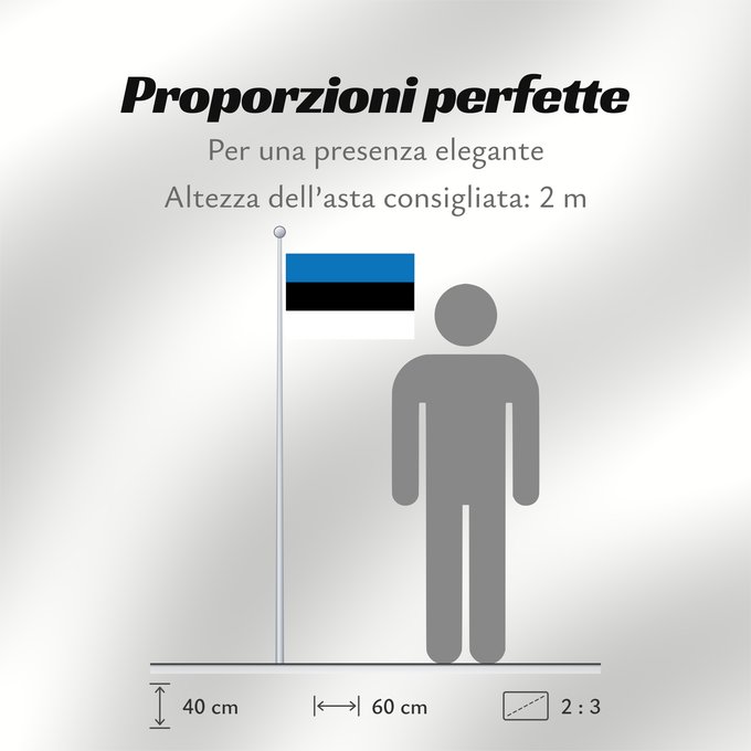 Proporzioni della bandiera: Estonia	L Estonie	Estland	Estone	Estónia	Estonii	Сцяг Эстоніі	Национално знаме на Естония	Estonská vlajka	Σημαία της Εσθονίας	Eesti lipp	پرچم کشور استونی	Viron	HEastóine	Észtország	エストニアの国旗	ესტონეთის დროშა	Estijos	Igaunijas	Знаме на Естонија	Estoniei	Флаг