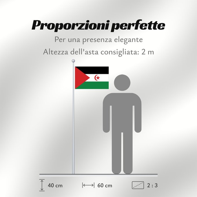 Proporzioni della bandiera: Sahrawi Arab Democratic Republic Western Sahara République arabe sahraouie démocratique República Árabe Saharaui Democrática Demokratischen Arabischen Republik Sahara Repubblica Democratica Araba Sahrawi Arabische Democratische Republiek Sahara República