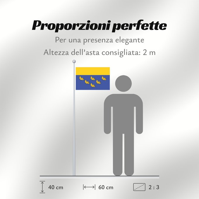 Proporzioni della bandiera: West Sussex