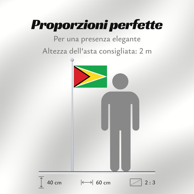 Proporzioni della bandiera: Guyana	Guiana	Wayana wiphala	Gujano	Gwayana	Wayana unancha	Флаг Гайаны	Guyanas	Quốc kỳ Guyana