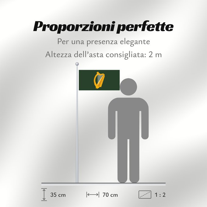 Proporzioni della bandiera: Leinster	W Leinster
