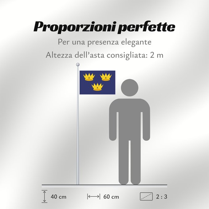 Proporzioni della bandiera: Munster