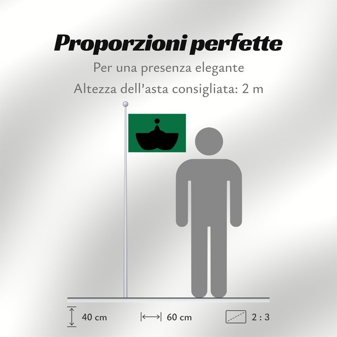 Proporzioni della bandiera:  Tiba [Chiba]