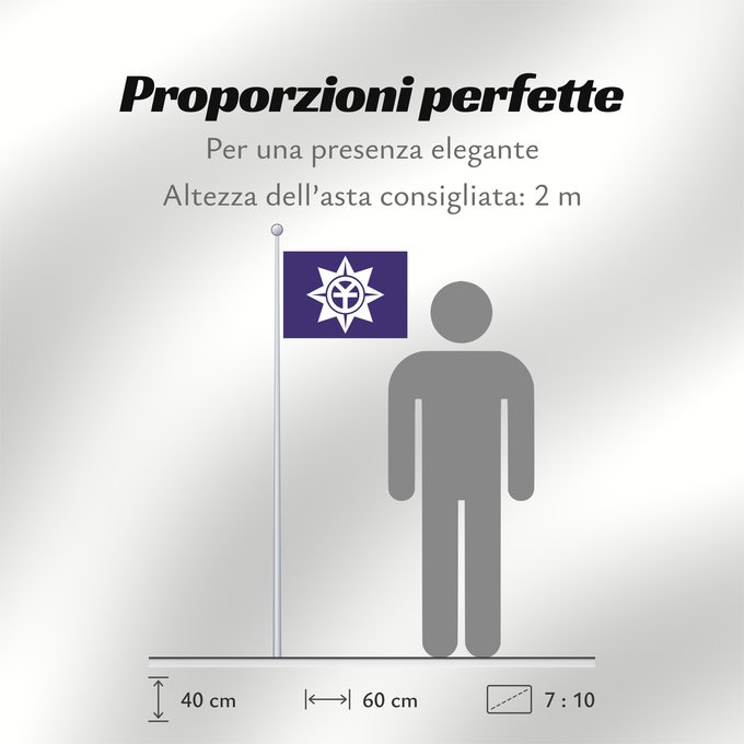 Proporzioni della bandiera: Okayama
