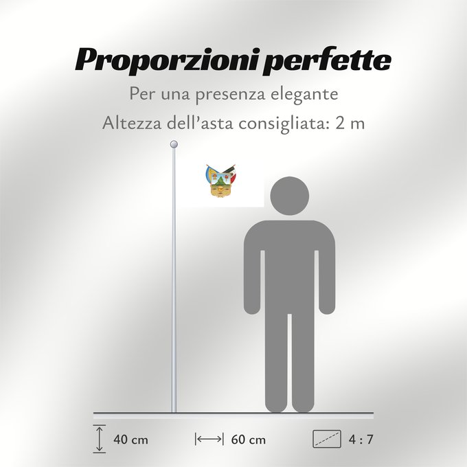 Proporzioni della bandiera: Hidalgo	hidalgo y fidalgo