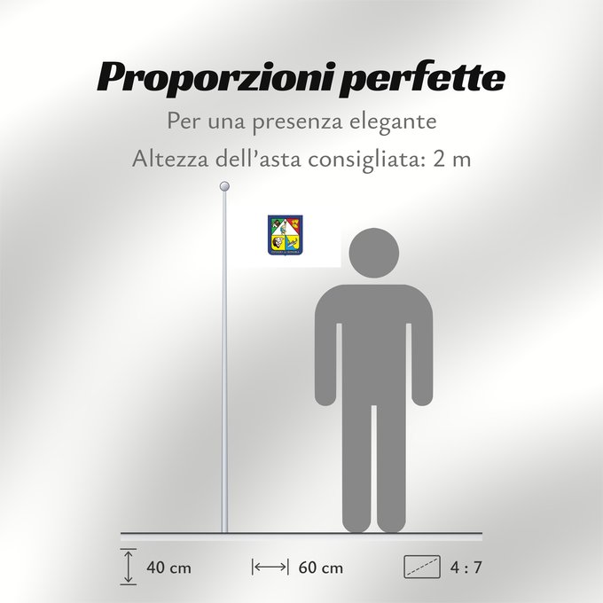 Proporzioni della bandiera: Sonora